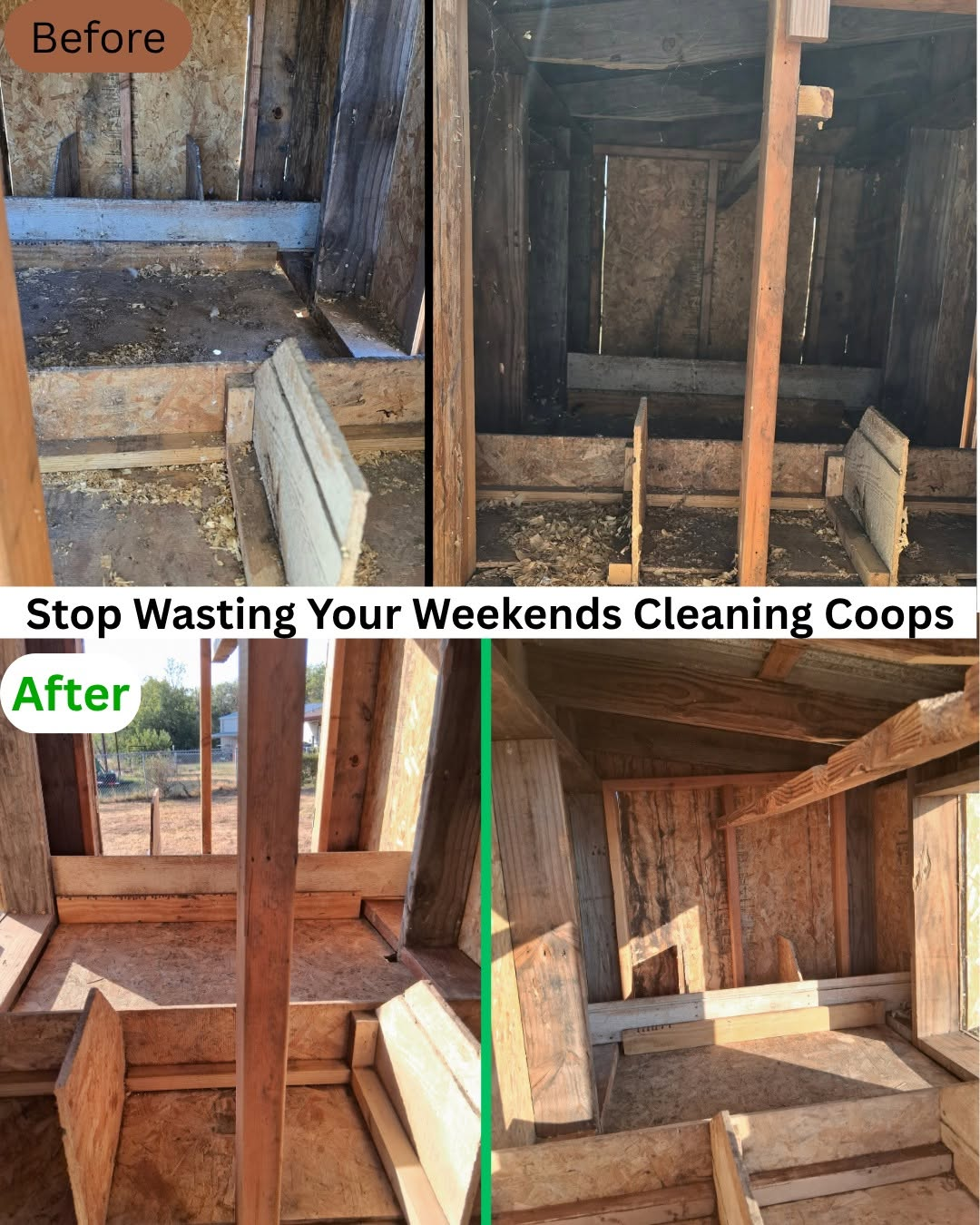 Chicken coop before and after cleaning