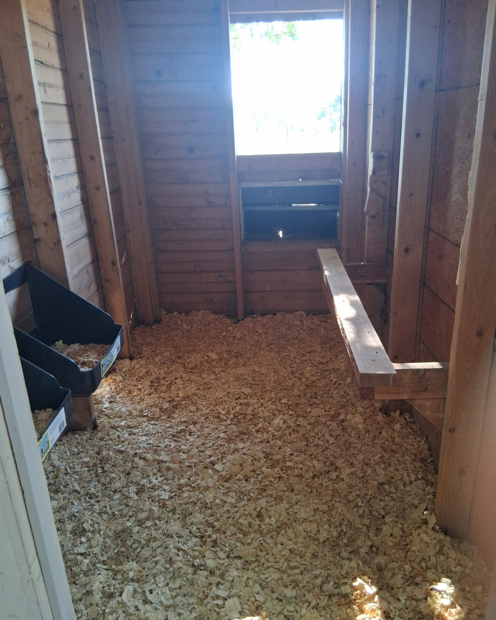 Clean chicken coop